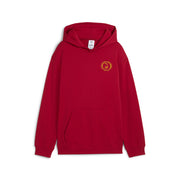 PUMA HARRY POTTER 'GRYFFINDOR' HOODIE  JR | 630078 13