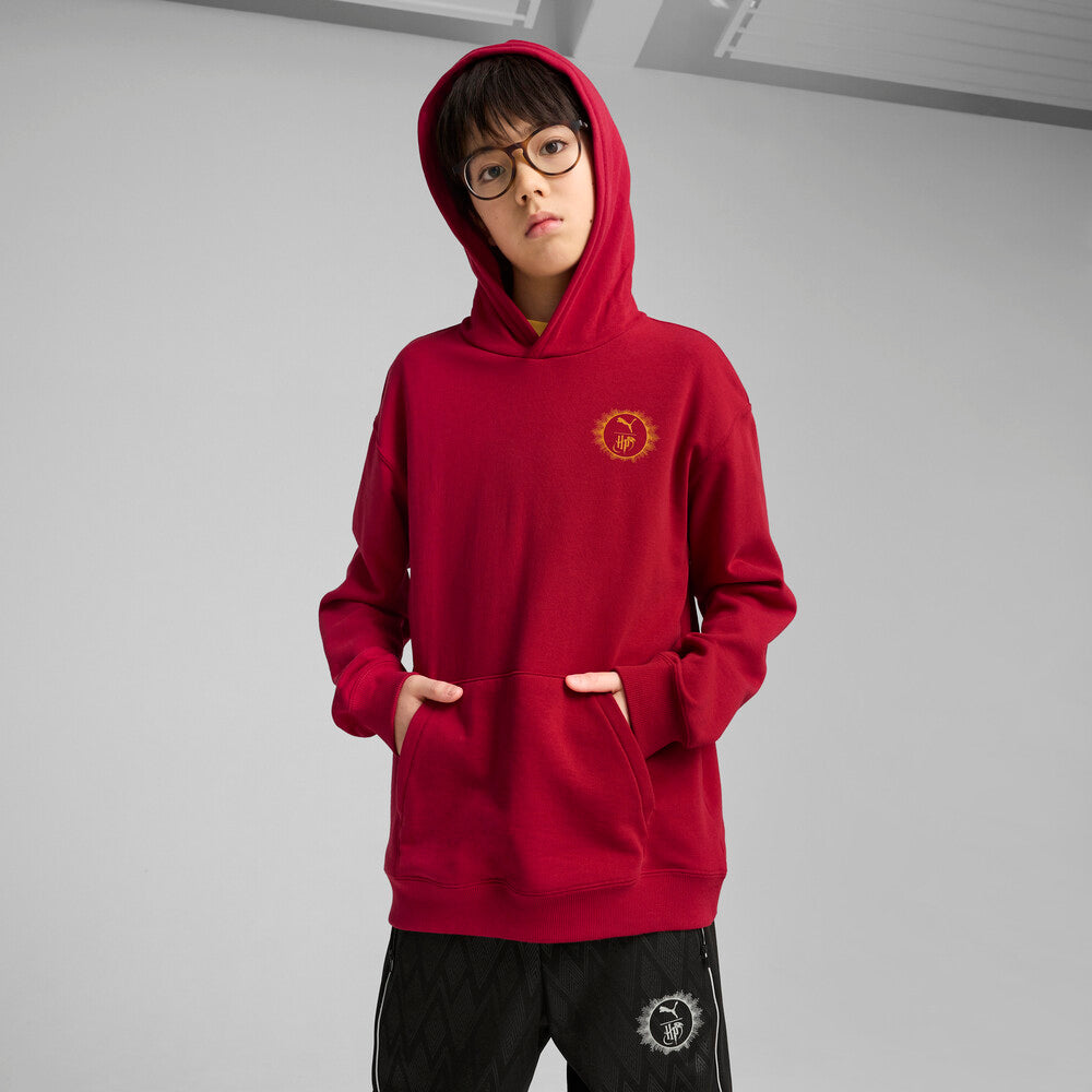 PUMA HARRY POTTER 'GRYFFINDOR' HOODIE  JR | 630078 13