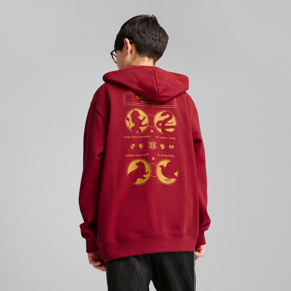 PUMA HARRY POTTER 'GRYFFINDOR' HOODIE  JR | 630078 13