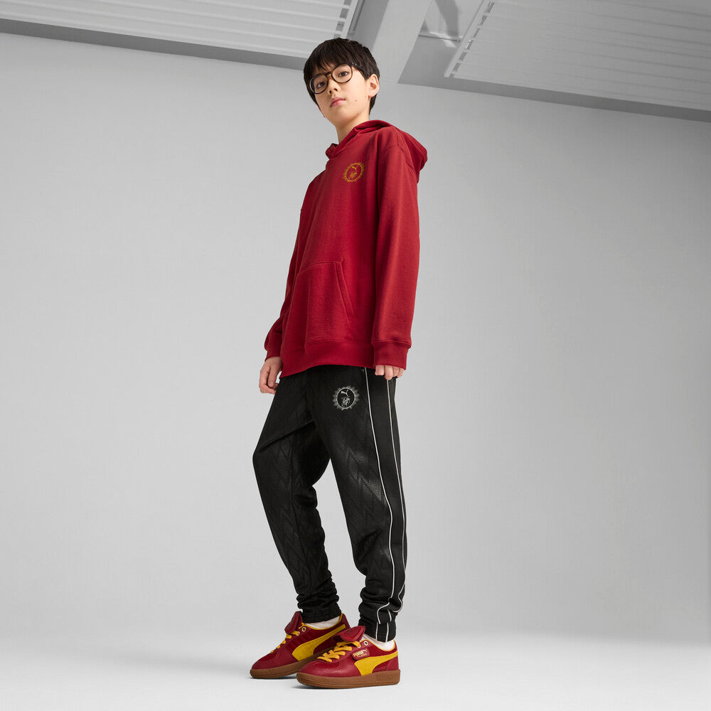 PUMA HARRY POTTER 'GRYFFINDOR' HOODIE  JR | 630078 13
