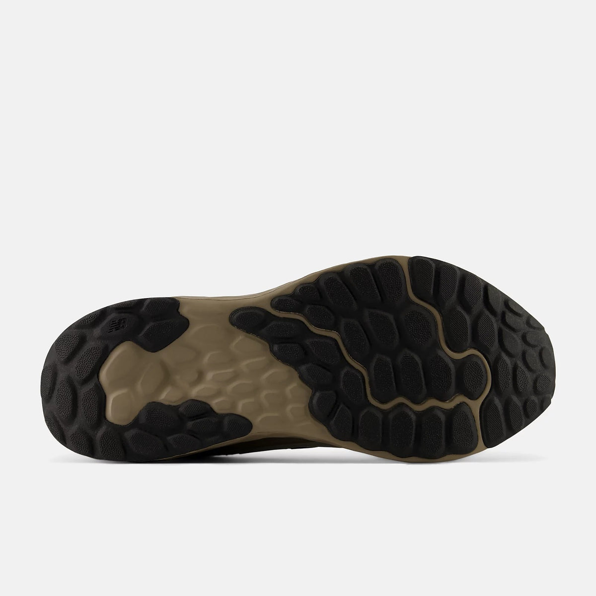 NEW BALANCE FRESH FOAM ARISHI V4 ZAPATILLAS RUNNING | MARIS8P6
